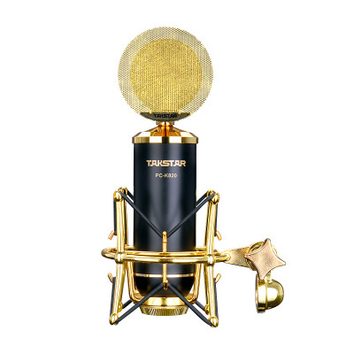 Micro TAKSTAR PC-K820